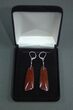 Red Agatized Dinosaur Bone Earrings #5252-1